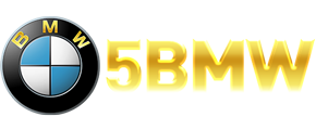 BMW555 Logo